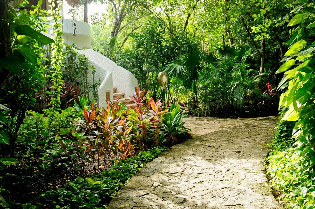 Amarte Maroma Hotel Eco Boutique Spa Punta Maroma Exteriér fotografie