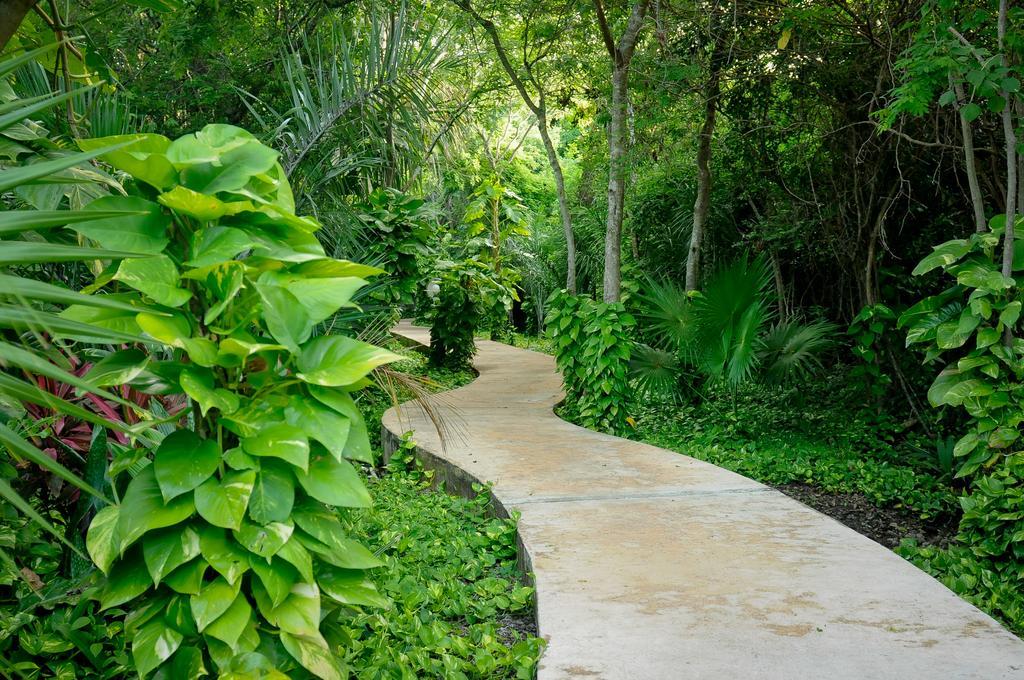 Amarte Maroma Hotel Eco Boutique Spa Punta Maroma Exteriér fotografie