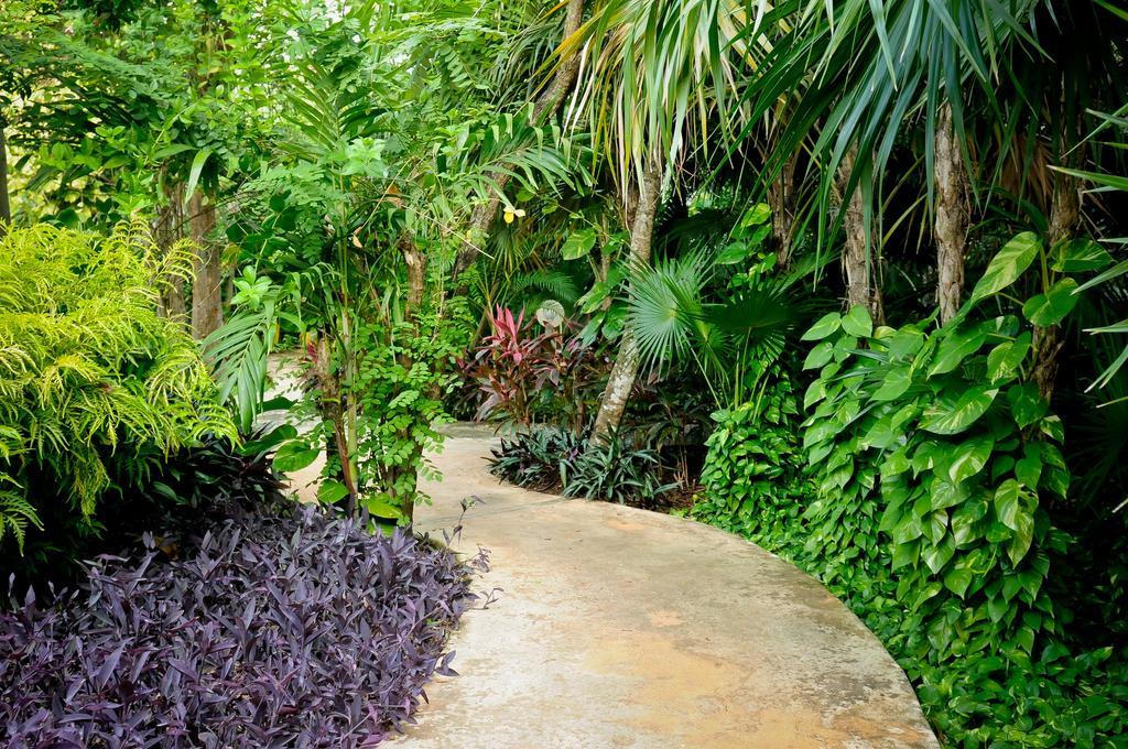 Amarte Maroma Hotel Eco Boutique Spa Punta Maroma Exteriér fotografie