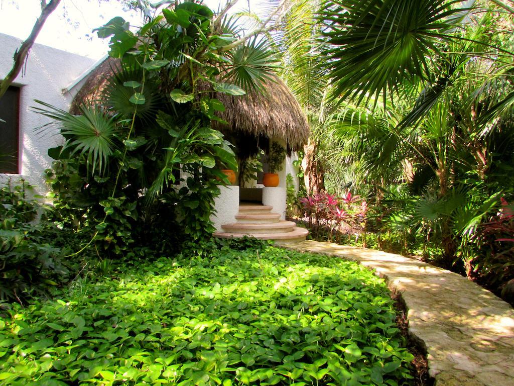 Amarte Maroma Hotel Eco Boutique Spa Punta Maroma Exteriér fotografie