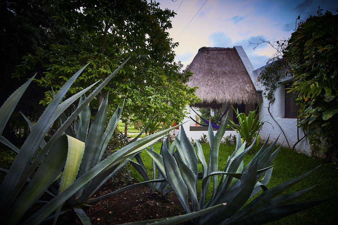 Amarte Maroma Hotel Eco Boutique Spa Punta Maroma Exteriér fotografie
