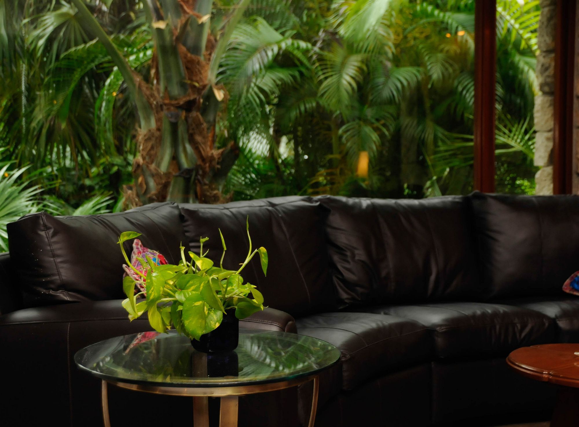 Amarte Maroma Hotel Eco Boutique Spa Punta Maroma Exteriér fotografie